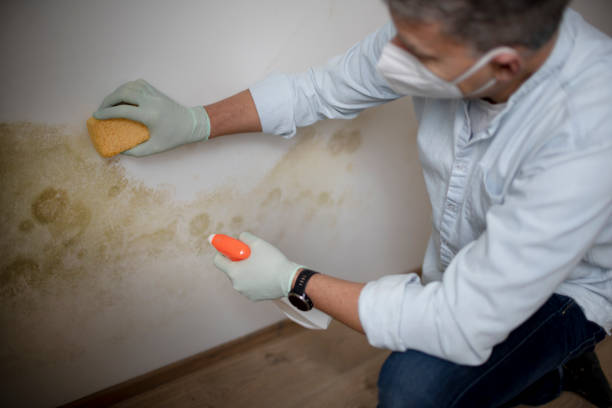  Broadway, NC Mold Removal Pros